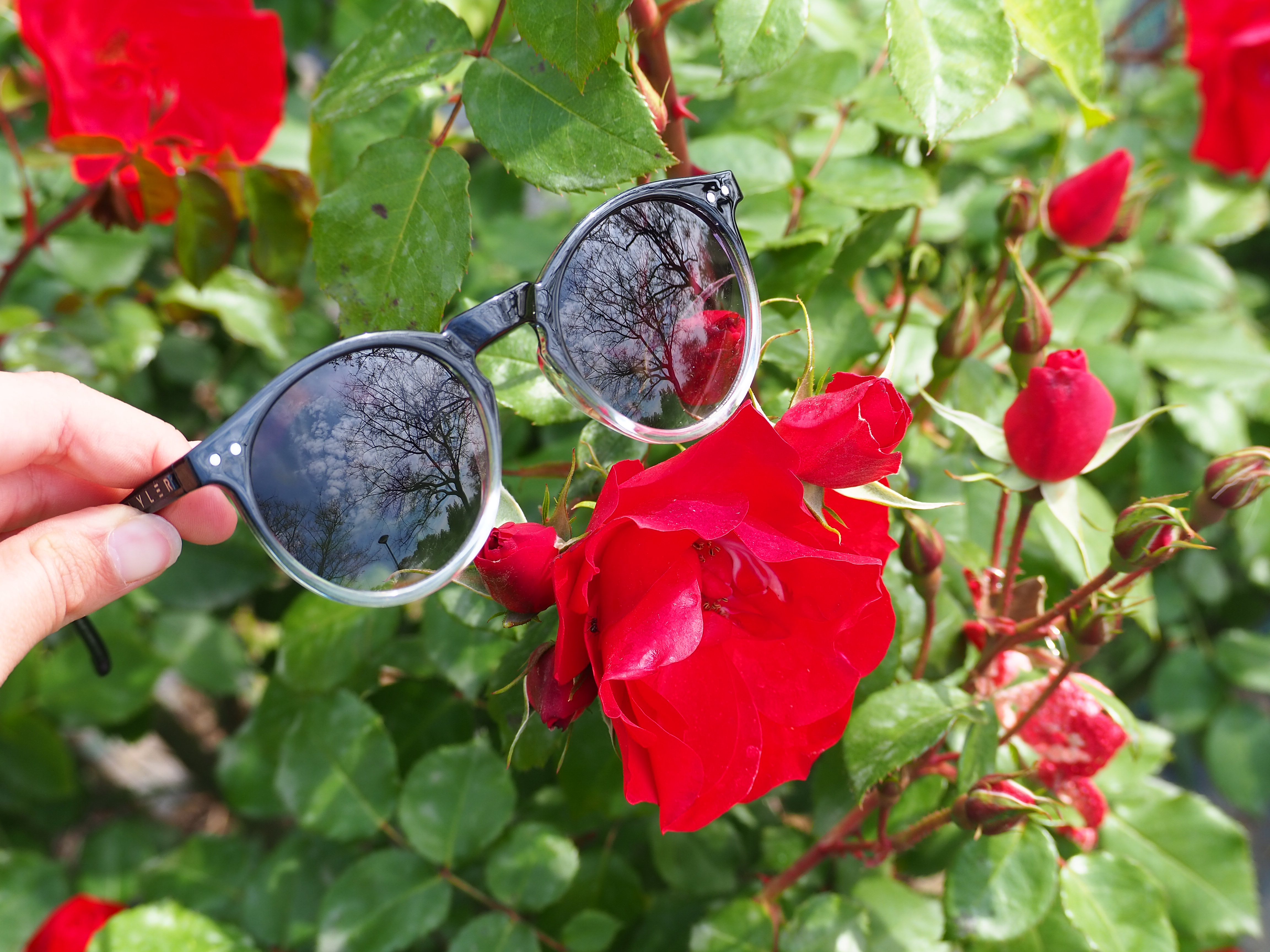 mayler,-gafas-de-sol-online,-montecarlo-dark